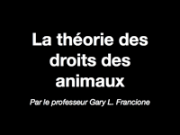 Theory of Animal Rights Theory of Animal Rights
