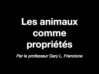 Animals as Property Animals as Property