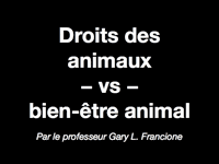Animal Rights vs. Animal Welfare Animal Rights vs. Animal Welfare