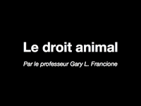 Animal Law Animal Law