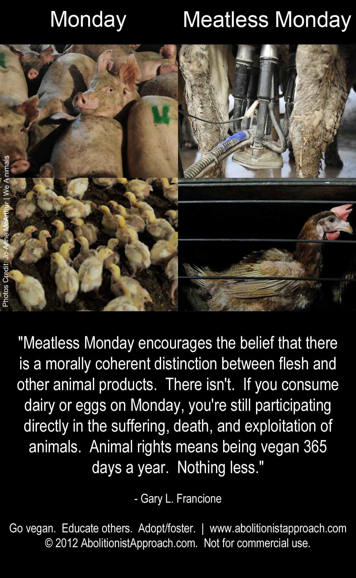 Monday Your Choice Animal Rights The Abolitionist Approach